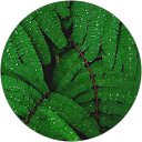 Victoria James profile picture